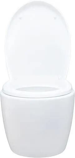 Унитаз подвесной безободковый Aquanet Zvezda Rimless белый ZV-1 Унитаз подвесной безободковый Aquanet Zvezda Rimless белый ZV-1