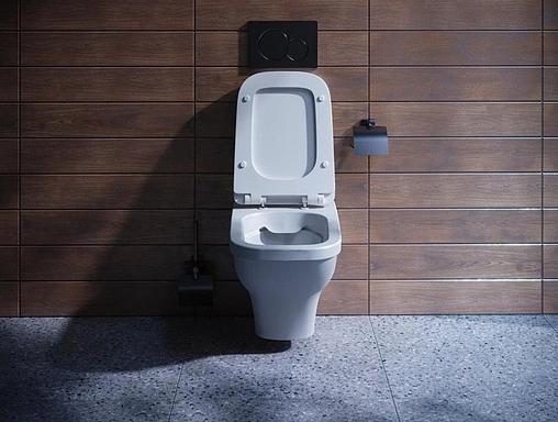 Унитаз подвесной безободковый Santek Лайн rimless белый 1WH501574