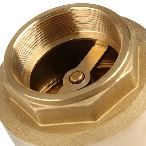 Клапан обратный пружинный 2½&quot;в x 2½&quot;в Itap Europa 1000212