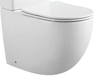 Чаша унитаза Aquanet Cetus 2.0 C1 белый Cetus 2.0 C1, 1