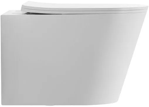 Унитаз подвесной безободковый Aquatek Таурус Tornado белый AQ1580T-00