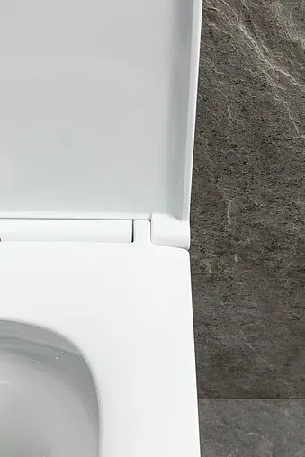 Унитаз подвесной безободковый Allen Brau Priority Tornado белый 4.31009.20