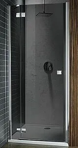 Дверь в нишу 1200мм тонированное стекло Radaway Almatea DWJ 120 L 31402-01-05N, 1