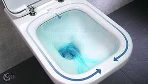 Унитаз подвесной безободковый Ideal Standard Tesi AquaBlade белый ZZ0001 Унитаз подвесной безободковый Ideal Standard Tesi AquaBlade белый ZZ0001, 5