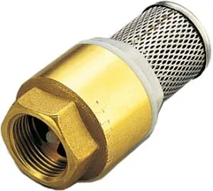 Погружной пружинный обратный клапан с фильтром 4"в Tiemme YACHT 3500065 Погружной пружинный обратный клапан с фильтром 4"в Tiemme YACHT 3500065, 1