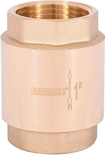 Погружной пружинный обратный клапан с фильтром 1&quot;в Belamos FV-C 1