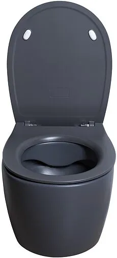 Унитаз подвесной безободковый Allen Brau Fantasy антрацит 4.11004.AN