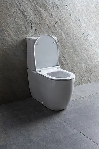 Унитаз-компакт безободковый Allen Brau Priority белый 4.31003.20+4.XX000.20