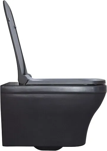 Унитаз подвесной безободковый Allen Brau Infinity антрацит 4.21011.AN