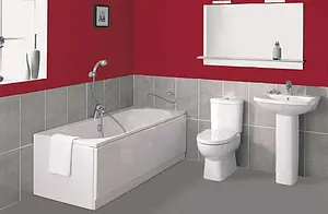 Раковина Jacob Delafon Panache 60 белый E1435-00, 5