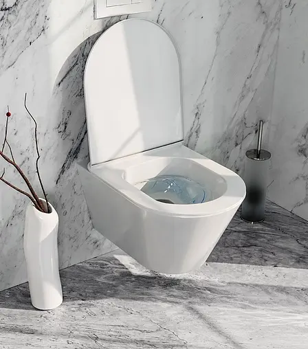 Комплект 5 в 1 Sanit М 603 90.506.56..0000+PLMR.wc.02+PLMR.seat.02/WHT с кнопкой 16.603.56 черный матовый