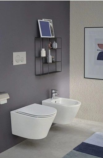 Унитаз подвесной безободковый Jacob Delafon Rodin+ Rimless белый EDY102-00