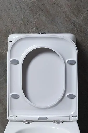 Унитаз-компакт безободковый Allen Brau Infinity белый 4.21001.20+4.21002.20