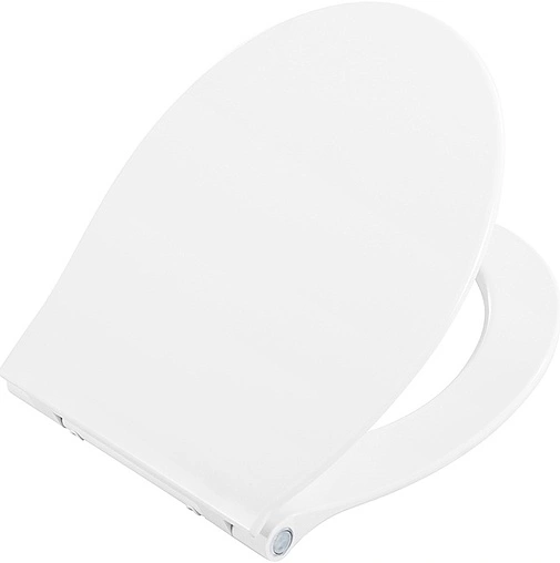 Крышка-сиденье для унитаза с микролифтом и подсветкой BelBagno Acqua белый BB216QSC