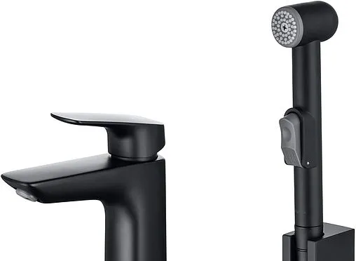 Смеситель для раковины с гигиеническим душем Aquatek Вега чёрный матовый AQ1012MB