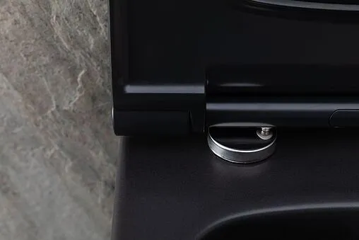 Унитаз подвесной безободковый Allen Brau Priority черный матовый 4.31001.31