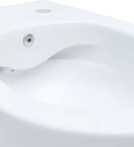 Унитаз подвесной безободковый с функцией биде и встроенным смесителем Allen Brau Fantasy белый 4.11HC1.20