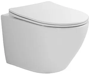 Унитаз подвесной безободковый Toni Arti Russi Tornado белый TA-1900T Унитаз подвесной безободковый Toni Arti Russi Tornado белый TA-1900T, 1