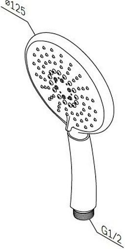 Лейка ручного душа Am.Pm Bliss L хром F0253100 Лейка ручного душа Am.Pm Bliss L хром F0253100