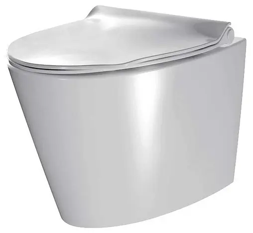 Крышка-сиденье для унитаза с микролифтом Am.Pm Bliss L белый C537851WH