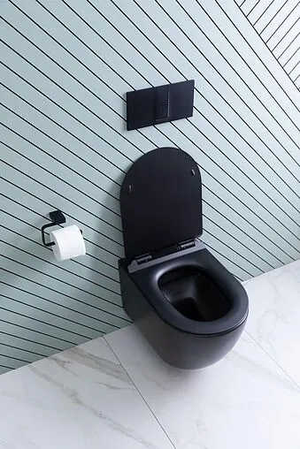 Унитаз подвесной безободковый Aquanet Cetus-BW Rimless черный матовый CETUS-BW