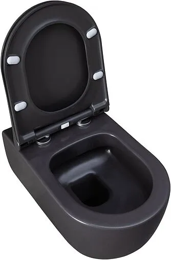 Унитаз подвесной безободковый Allen Brau Priority антрацит 4.31001.AN