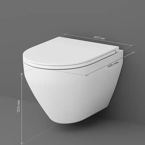 Унитаз подвесной безободковый Am.Pm Spirit 2.0 FlashClean белый C701700SC