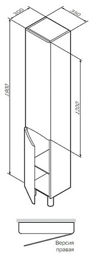 Шкаф-пенал Am.Pm Like 35 R белый M80CSR0356WG