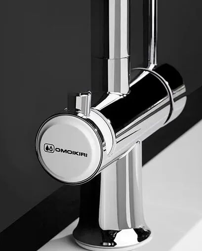 Смеситель для кухни с подключением к фильтру Omoikiri Hotaru-CH-WH хром/белый 4994051