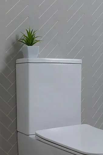 Унитаз-компакт безободковый Aquanet Tavr 2.0 Rimless белый Tavr 2.0 C1+Tavr 2.0 C2 Унитаз-компакт безободковый Aquanet Tavr 2.0 Rimless белый Tavr 2.0 C1+Tavr 2.0 C2