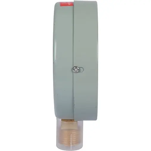 Манометр радиальный Росма ТМ-510Р.00 100мм 6 бар ½&quot; 00000006817