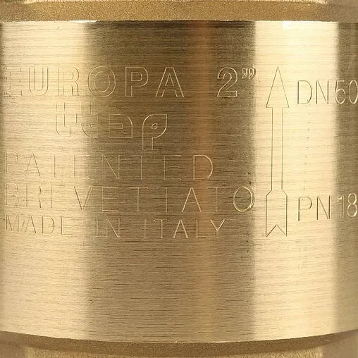 Клапан обратный пружинный 2&quot;в x 2&quot;в Itap Europa 1000200