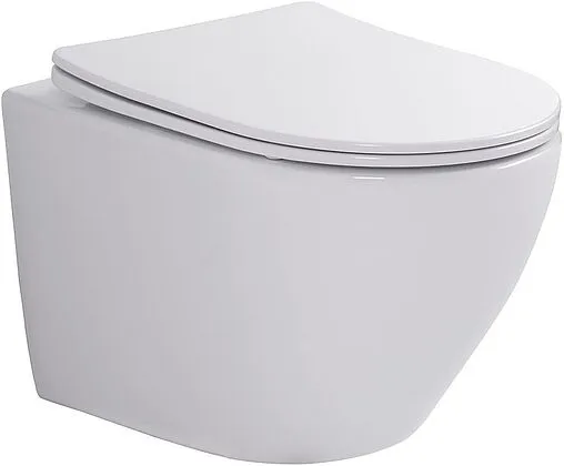 Крышка-сиденье для унитаза с микролифтом Toni Arti Russi белый TA-0660GB