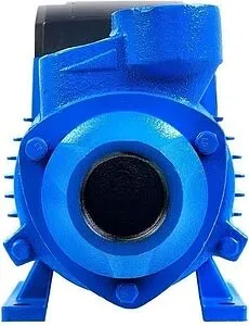 Насос поверхностный Джилекс Вихревик 40/40 Ч 3100 Насос поверхностный Джилекс Вихревик 40/40 Ч 3100, 4