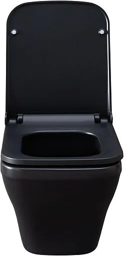 Унитаз подвесной безободковый Allen Brau Infinity черный матовый 4.21011.31