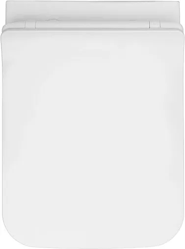 Унитаз подвесной безободковый с функцией биде и встроенным смесителем Allen Brau Liberty белый 4.33009.20