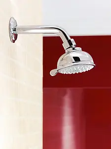 Лейка верхнего душа Grohe New Tempesta Rustic 100 хром 27610000, 4