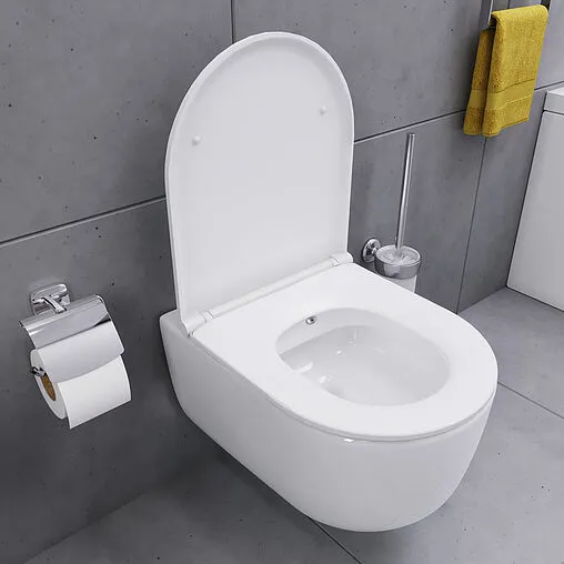 Унитаз подвесной безободковый с функцией биде Damixa Sirius белый DX86C1800SC Унитаз подвесной безободковый с функцией биде Damixa Sirius белый DX86C1800SC