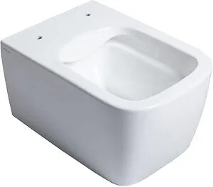 Унитаз подвесной безободковый Allen Brau Liberty белый 4.32003.20, 3