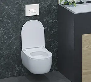 Клавиша смыва для унитаза BERGES Novum D1 040031 белый матовый Клавиша смыва для унитаза BERGES Novum D1 040031 белый матовый, 4