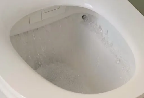 Умный унитаз-биде подвесной безободковый Jacob Delafon Seine Rimless белый E28072-00 Умный унитаз-биде подвесной безободковый Jacob Delafon Seine Rimless белый E28072-00