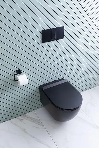 Унитаз подвесной безободковый Aquanet Cetus-BW Rimless черный матовый CETUS-BW