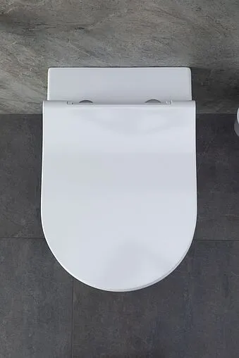 Унитаз подвесной безободковый Allen Brau Priority белый 4.31001.20