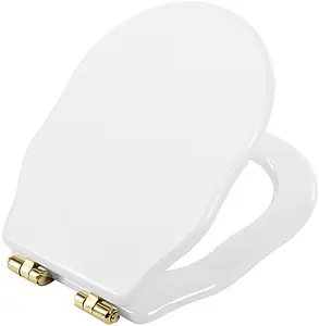 Крышка-сиденье для унитаза с микролифтом BelBagno Boheme белый BB115SCM-ORO Крышка-сиденье для унитаза с микролифтом BelBagno Boheme белый BB115SCM-ORO, 1