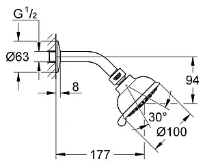 Лейка верхнего душа с настенным креплением Grohe New Tempesta Rustic 100 хром 26089000, 2