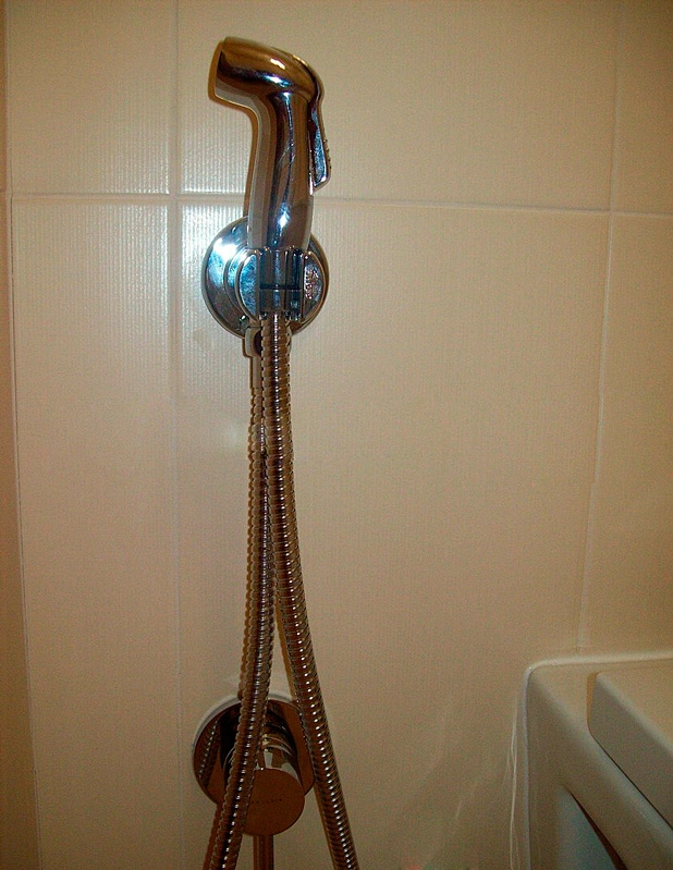 Гигиенический душ со смесителем Kludi Bozz хром 389990576