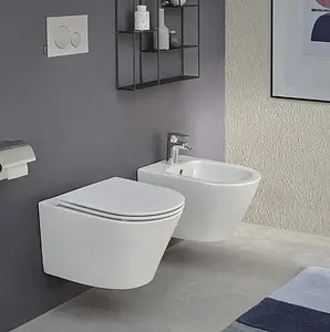 Биде подвесное Jacob Delafon Rodin+ белый EMJ0002-00 Биде подвесное Jacob Delafon Rodin+ белый EMJ0002-00, 4