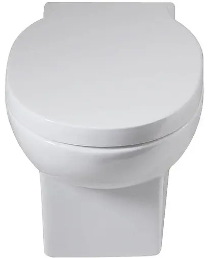 Крышка-сиденье для унитаза с микролифтом BelBagno Bingo белый BB548SC