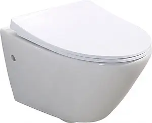 Унитаз подвесной безободковый BelBagno Alpha белый BB300CHR, 1