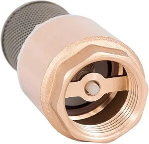 Погружной пружинный обратный клапан с фильтром 1"в Belamos FV-A 1 Погружной пружинный обратный клапан с фильтром 1"в Belamos FV-A 1, 2